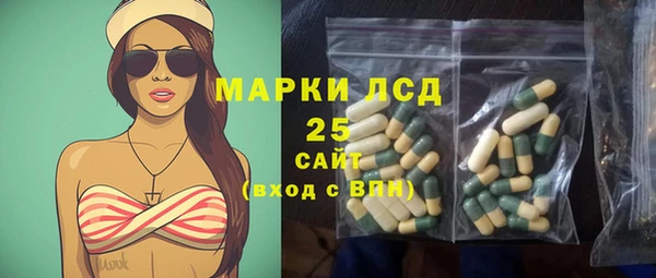 стаф Алзамай