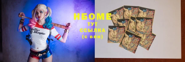 стаф Алзамай