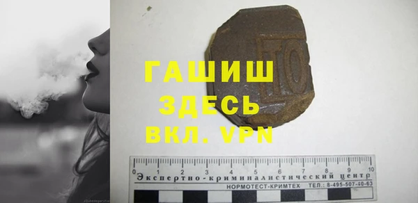 стаф Алзамай