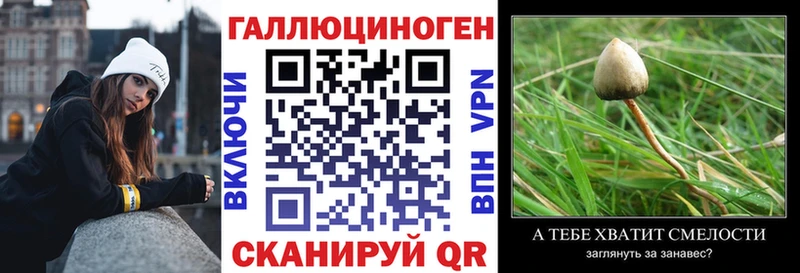 Галлюциногенные грибы мухоморы Великий Устюг