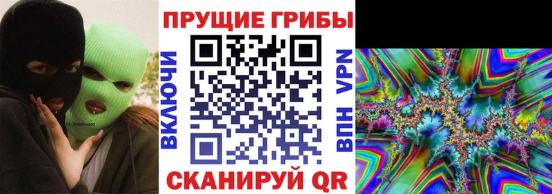 Купить закладки  Великий Устюг  Галлюциногенные грибы прущие грибы 